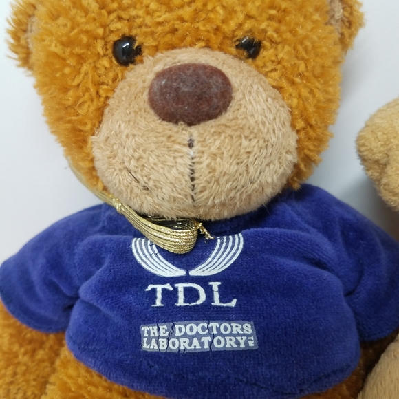 Lot of 3 Plush Bears Stuffed Animals - Picture 4 of 10